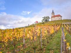 Kaple sv. Floriána a sv. Šebestiána_autor Filip Radosta