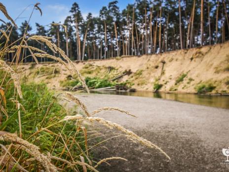 Přírodní památka Osypané břehy_autor Filip Radosta