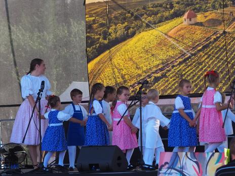 Bzenecké vinobraní_@foto Alex