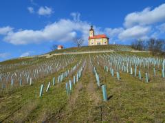 Starý hrad 2018